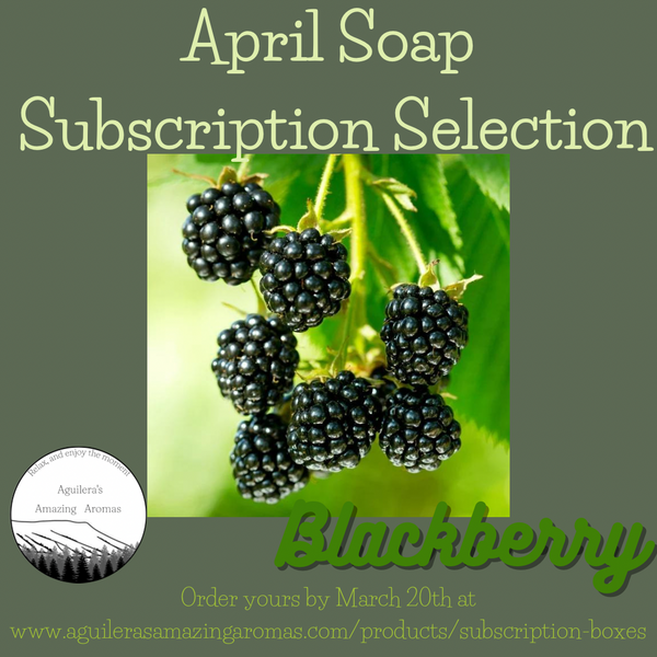 Soap Subscription