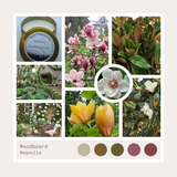 Magnolia Candle